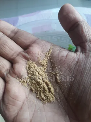 10 Grams | High Quality Powdered Food for Newborn Baby Fish