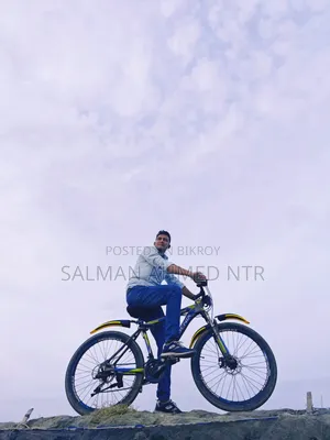ফিনিক্স সাইকেল