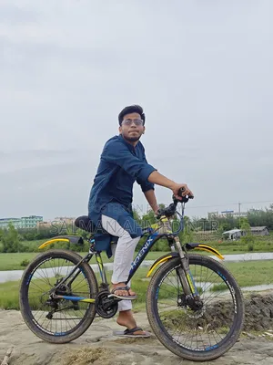 ফিনিক্স সাইকেল