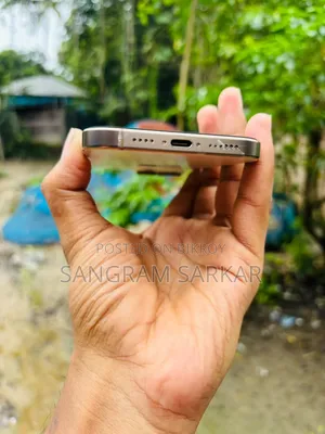 Apple iPhone 16 Pro Max 256 GB