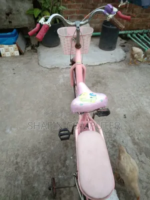ফিনিক্স সাইকেল ২০ইঞ্চি ফ্রেশ কন্ডিশন