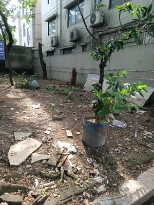 নিকুঞ্জে জমি বিক্রি