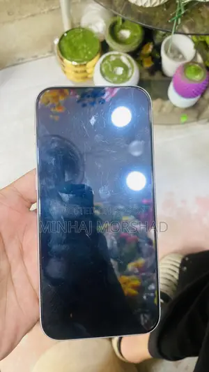 Apple iPhone 17 Pro Max 256 GB Silver