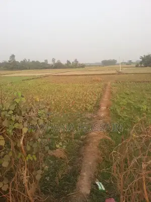 সাড়ে পাঁচ গন্ডা জায়গা বিক্রি।
