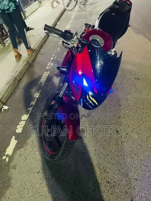 পেগাসাস ইভো ১৫০আর ২০১৪ লাল