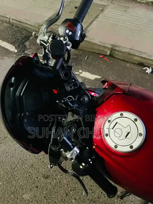 পেগাসাস ইভো ১৫০আর ২০১৪ লাল
