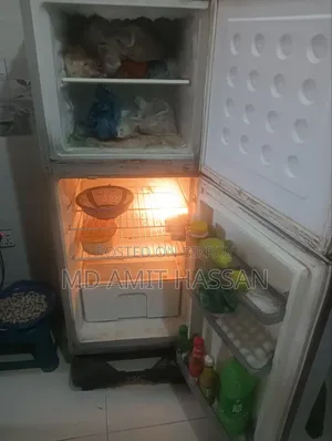 Vision Refrigerator