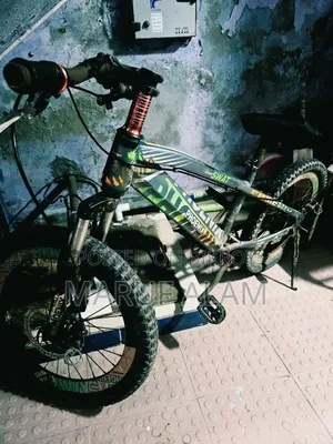 ফিনিক্স সোয়াট সাইকেল (২০ ইঞ্চি)