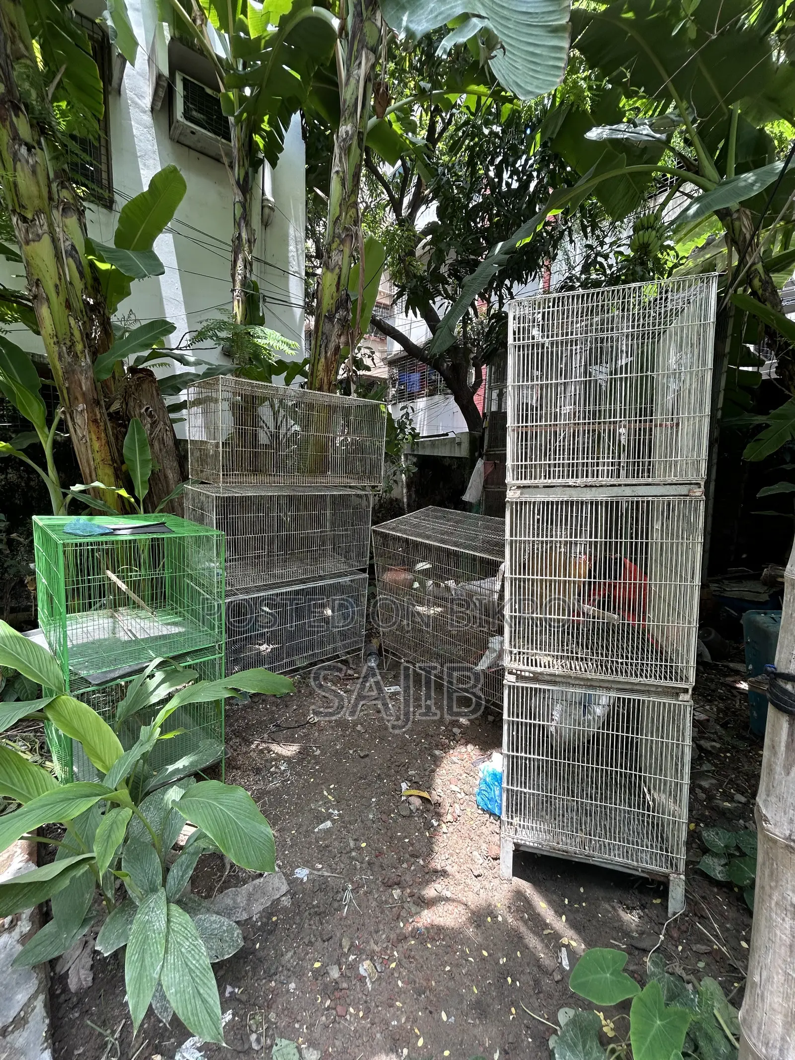 পুরাতন খাচা বি-ক্রি হবে