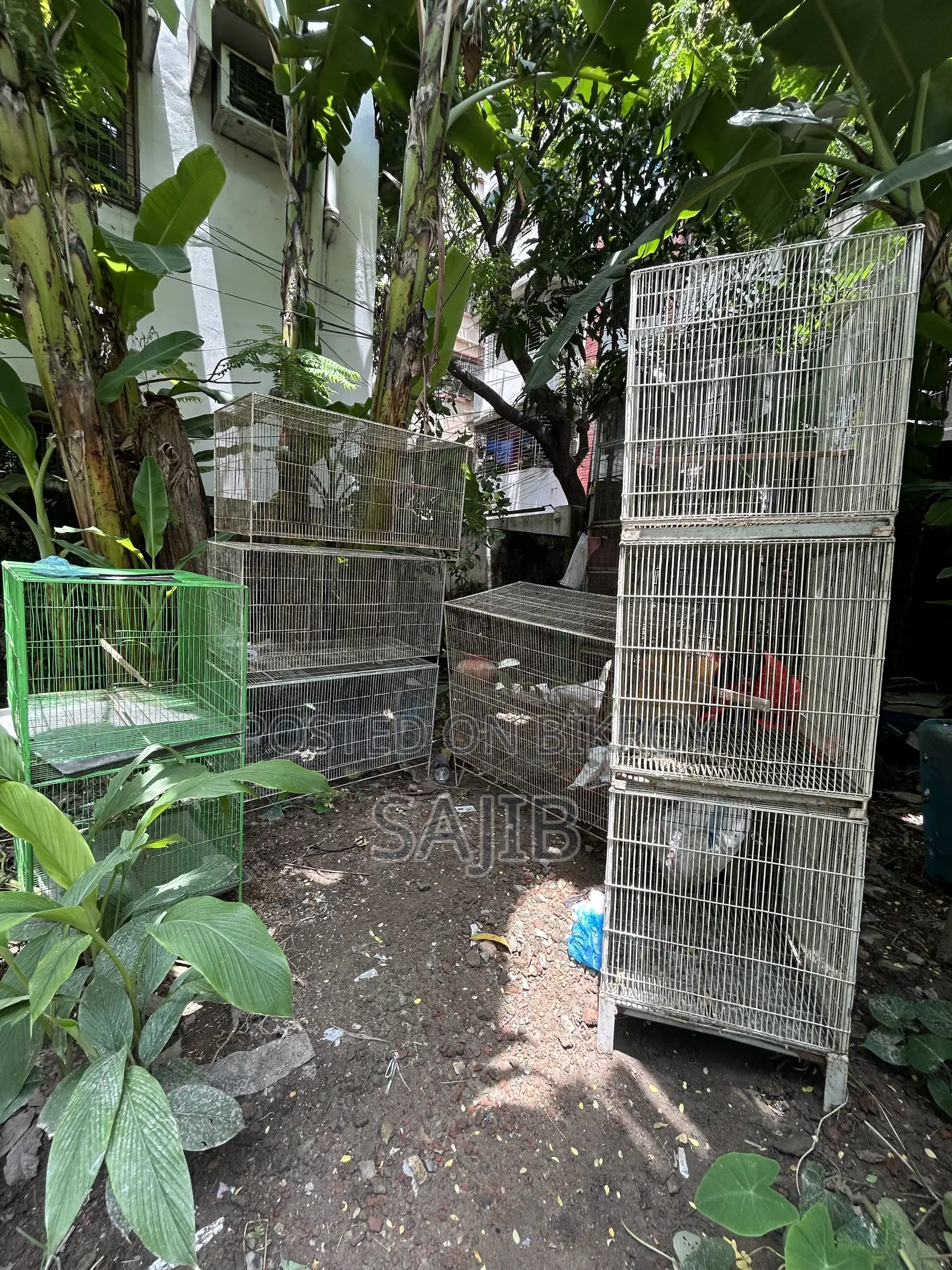 পুরাতন খাচা বি-ক্রি হবে