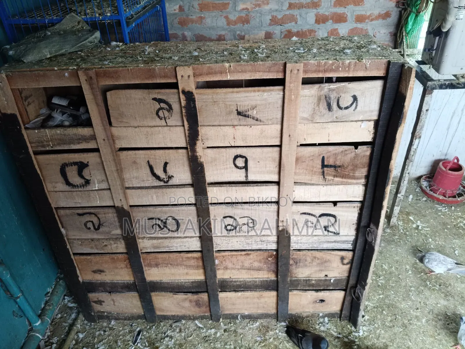 নিউ ২০ খোপ