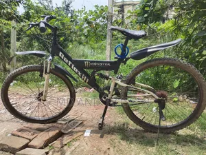 বাই সাইকেল