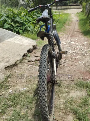 বাই সাইকেল