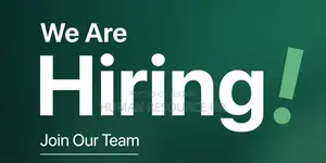 Customer Experience Executive