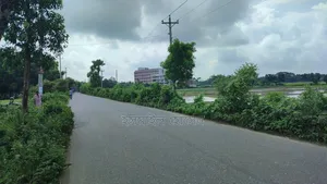 Land for Sale 14.50 Bigha Next to Main Road