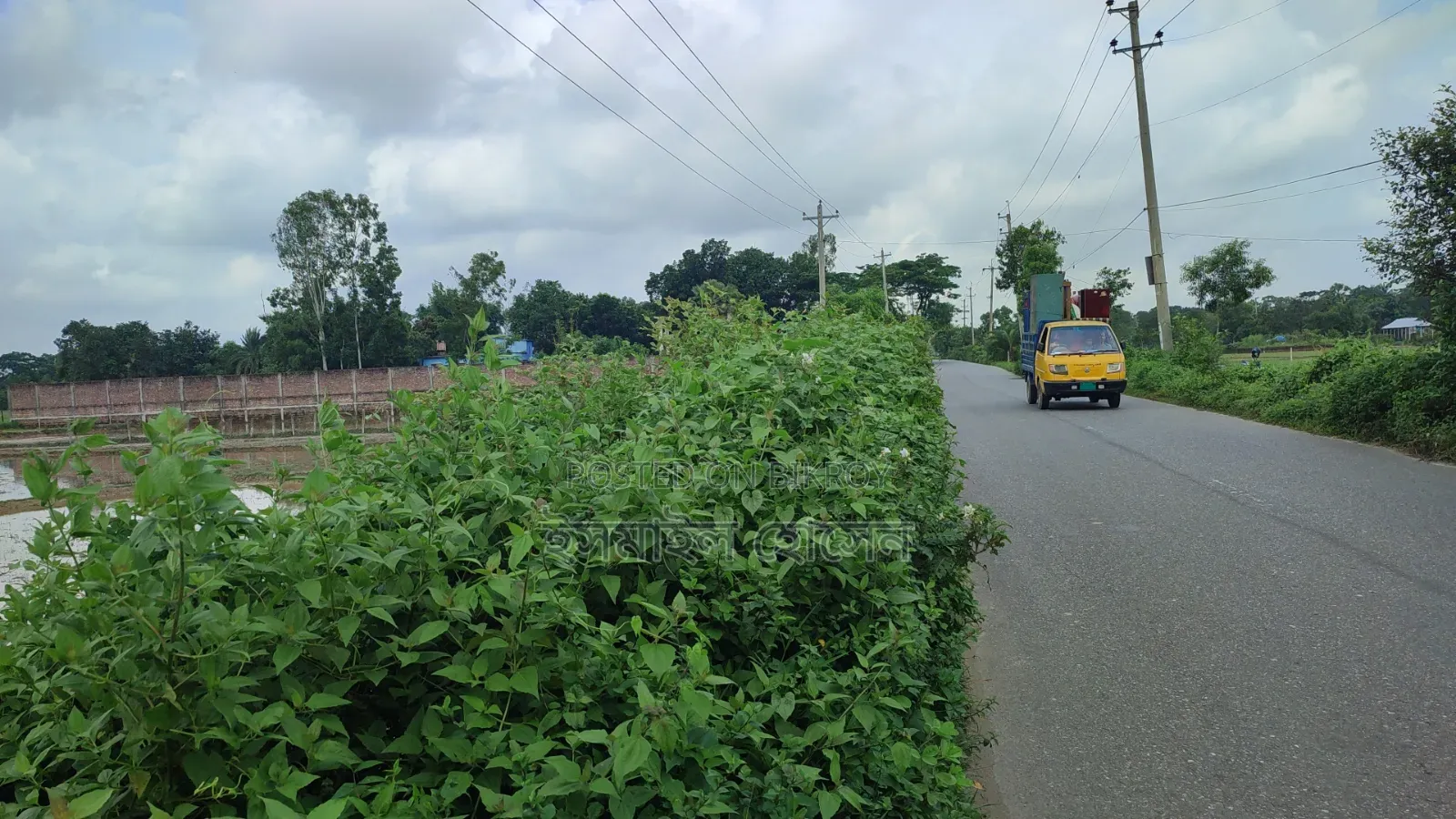 Land for Sale 14.50 Bigha Next to Main Road