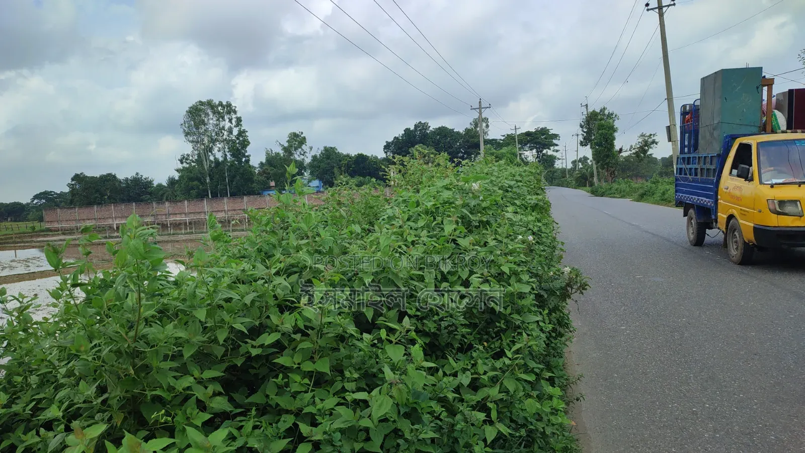 Land for Sale 14.50 Bigha Next to Main Road