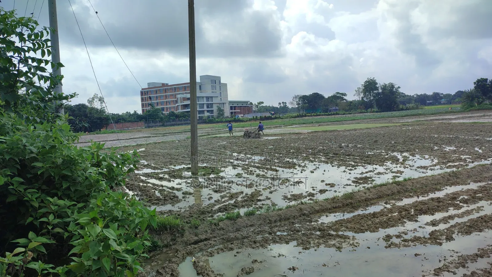 Land for Sale 14.50 Bigha Next to Main Road