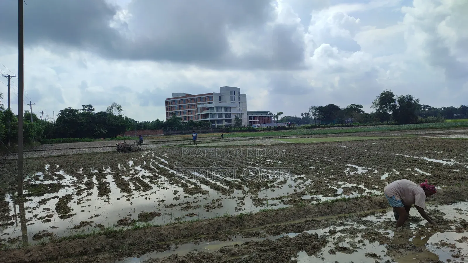 Land for Sale 14.50 Bigha Next to Main Road
