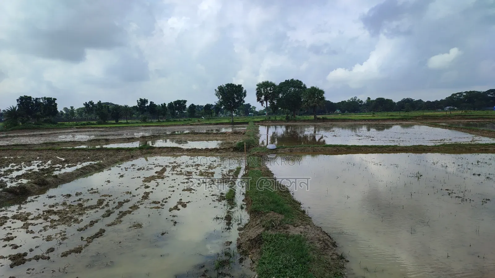 Land for Sale 14.50 Bigha Next to Main Road