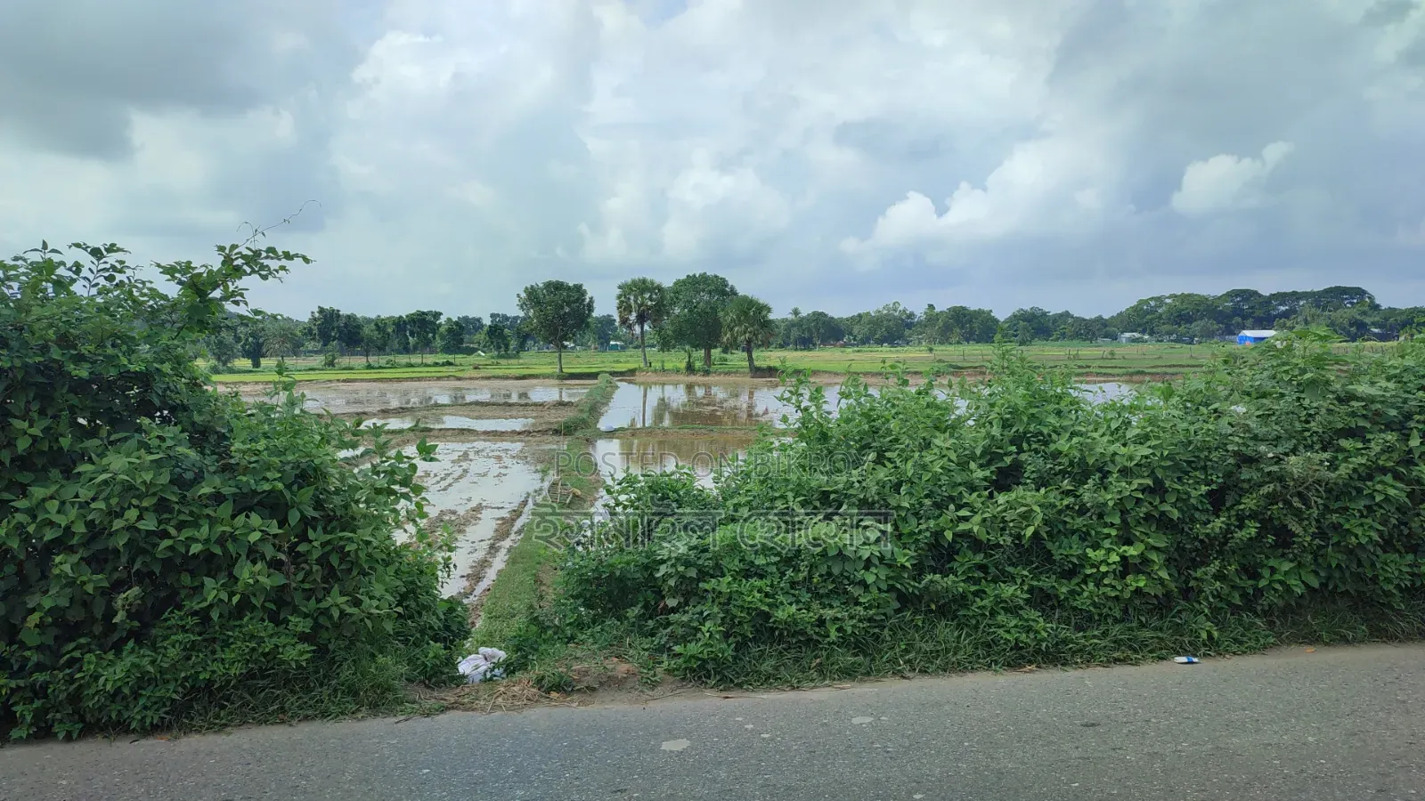 Land for Sale 14.50 Bigha Next to Main Road