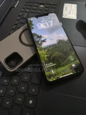অ্যাপল আইফোন ১১ প্রো ম্যাক্স ২৫৬ জিবি ব্ল্যাক
