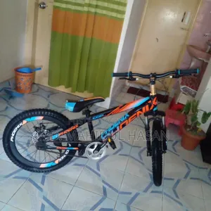 ফিনিক্স সাইকেল