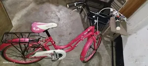 Girls/Kids Bicycle
