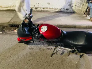 পেগাসাস ইভো ১৫০আর ২০১৪ লাল