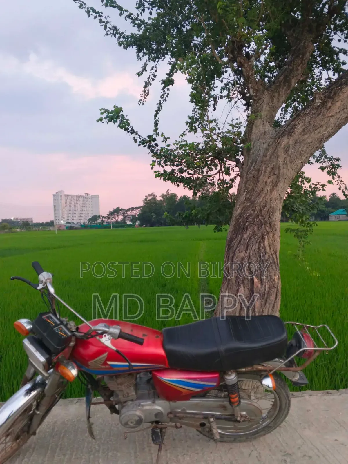Honda XL 125 2020 Red