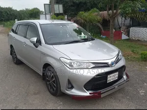 Toyota Corolla Fielder 2017 Silver