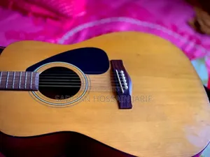 গিটার ইয়ামাহা এফ ৩১০
