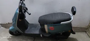 টেইলজি ২০২৬ নীল