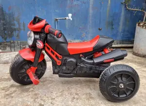 Kids Trike Bike