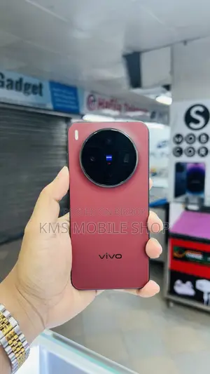 Vivo X300 512 GB