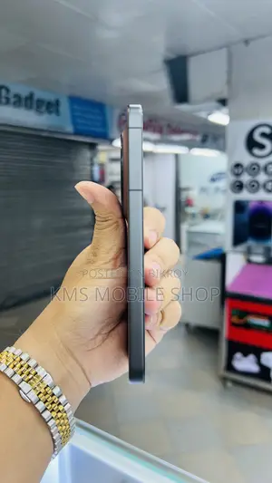 Vivo X300 512 GB