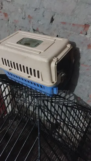 Cat Box Sell