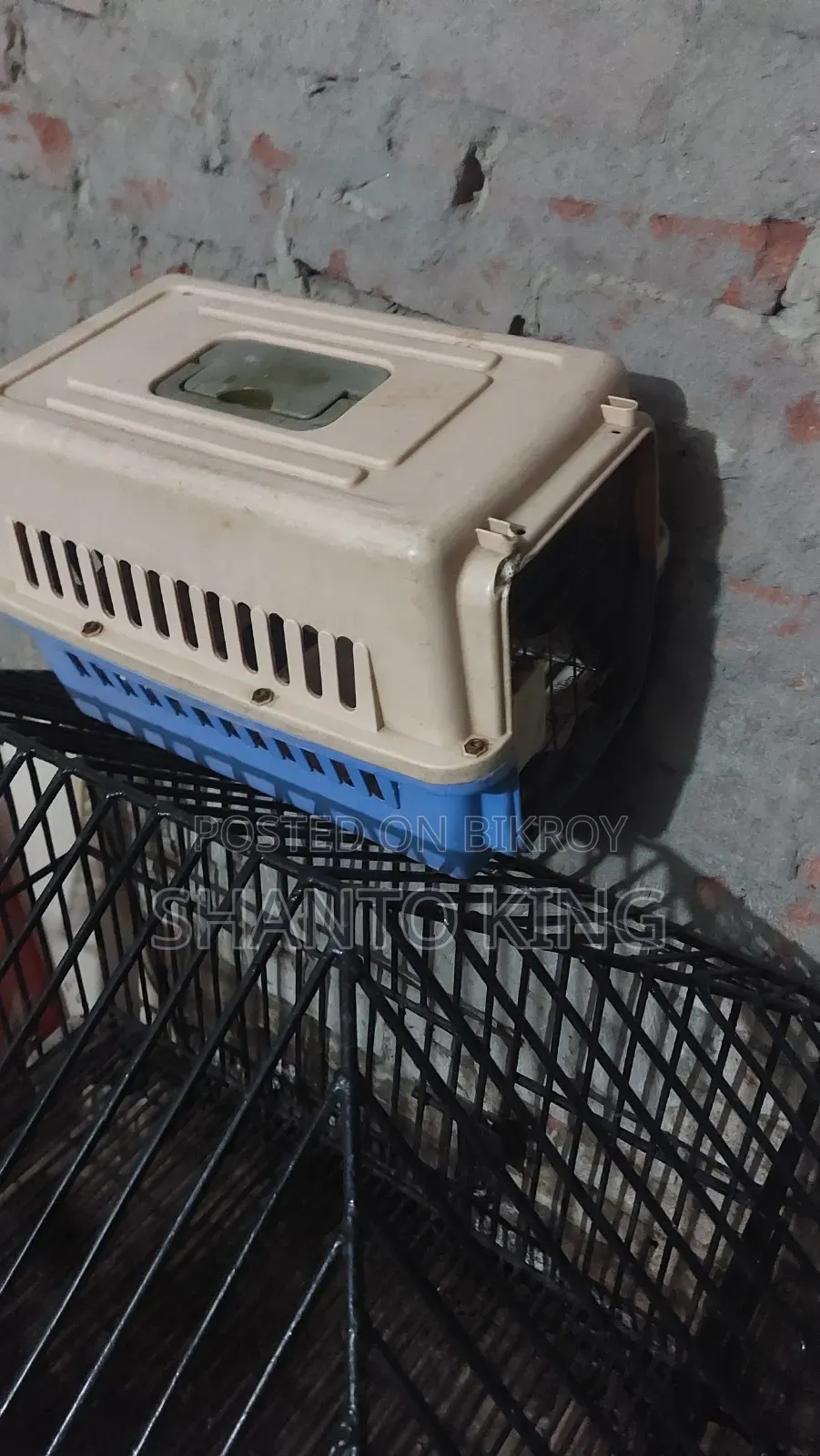 Cat Box Sell