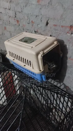 Cat Box Sell