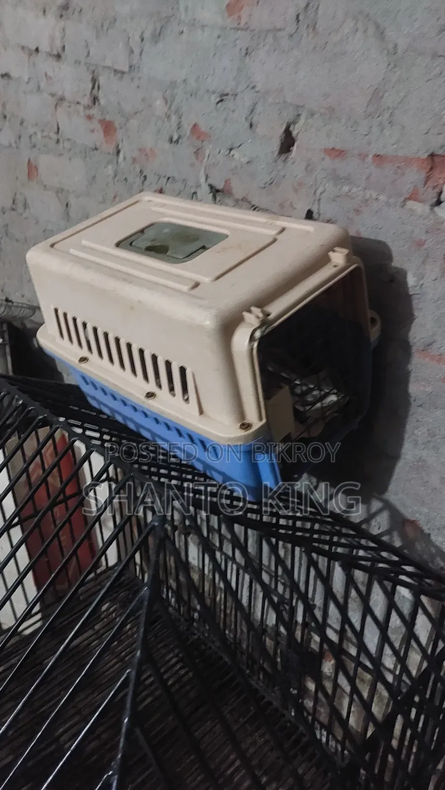 Cat Box Sell
