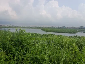 সাতারকুল, বাড্ডায় ৫ কাঠা জমি বিক্রি