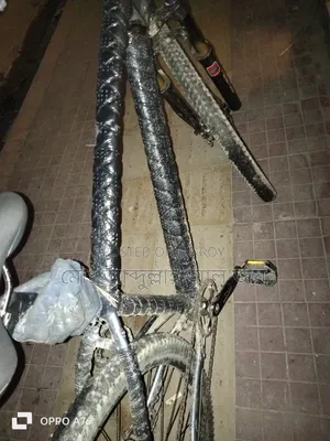 Rock Rider