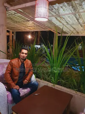 মেহেদী হাসান মিতুল
