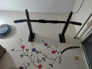 Pull Up Bar