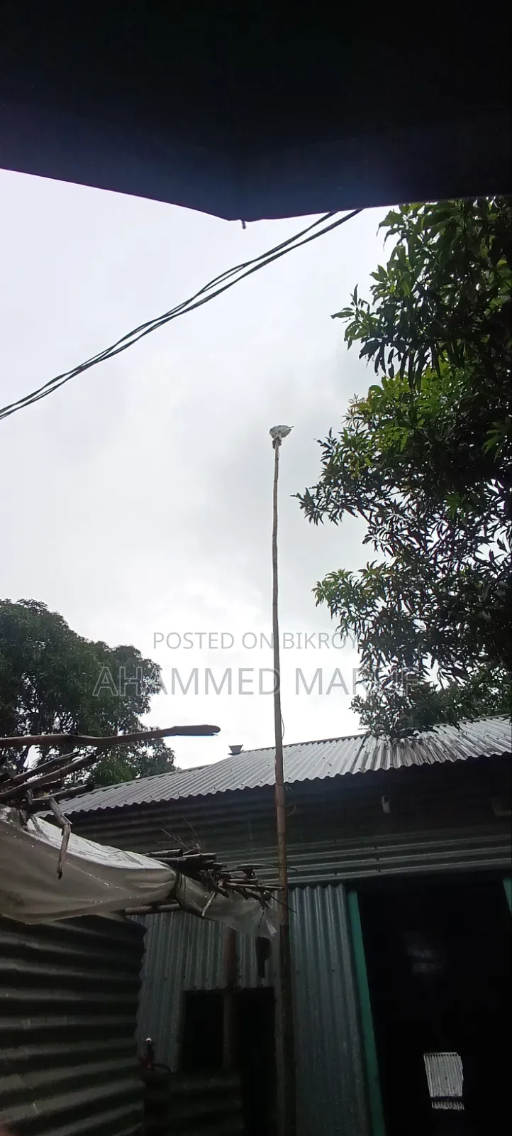 RobiWifi Plus