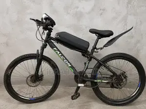 Electric Side Motor Cycle 24 Volt 250 Watt