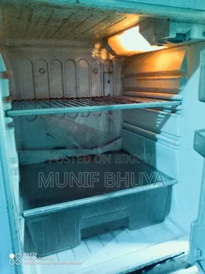 ইলেকট্রিক ফ্রিজ