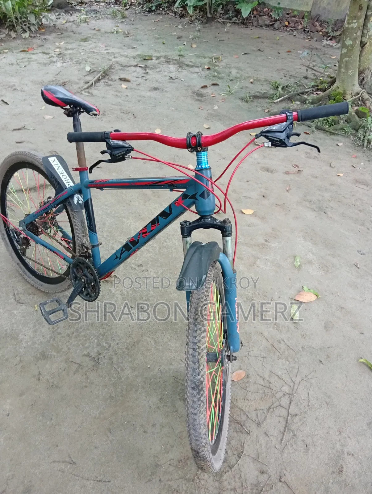 এভন বাইসাইকেল
