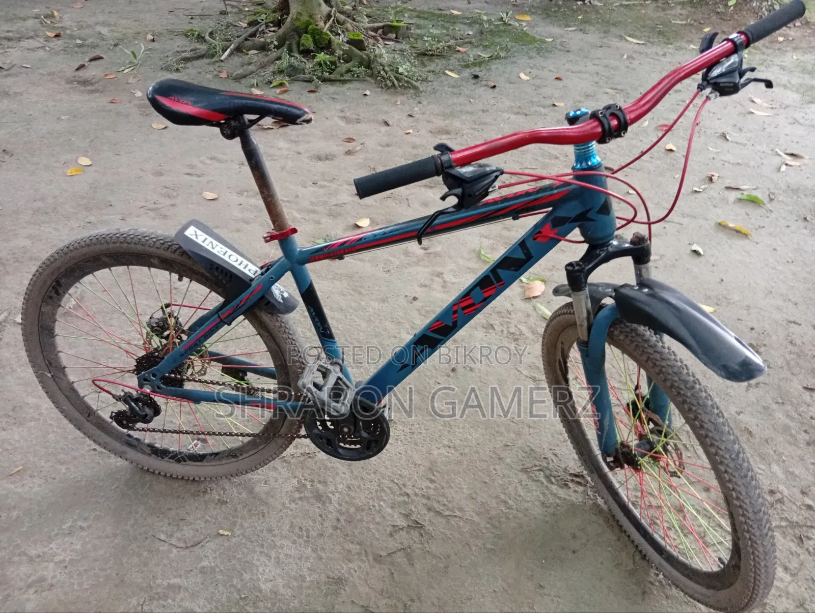 এভন বাইসাইকেল