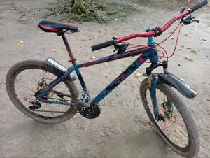এভন বাইসাইকেল